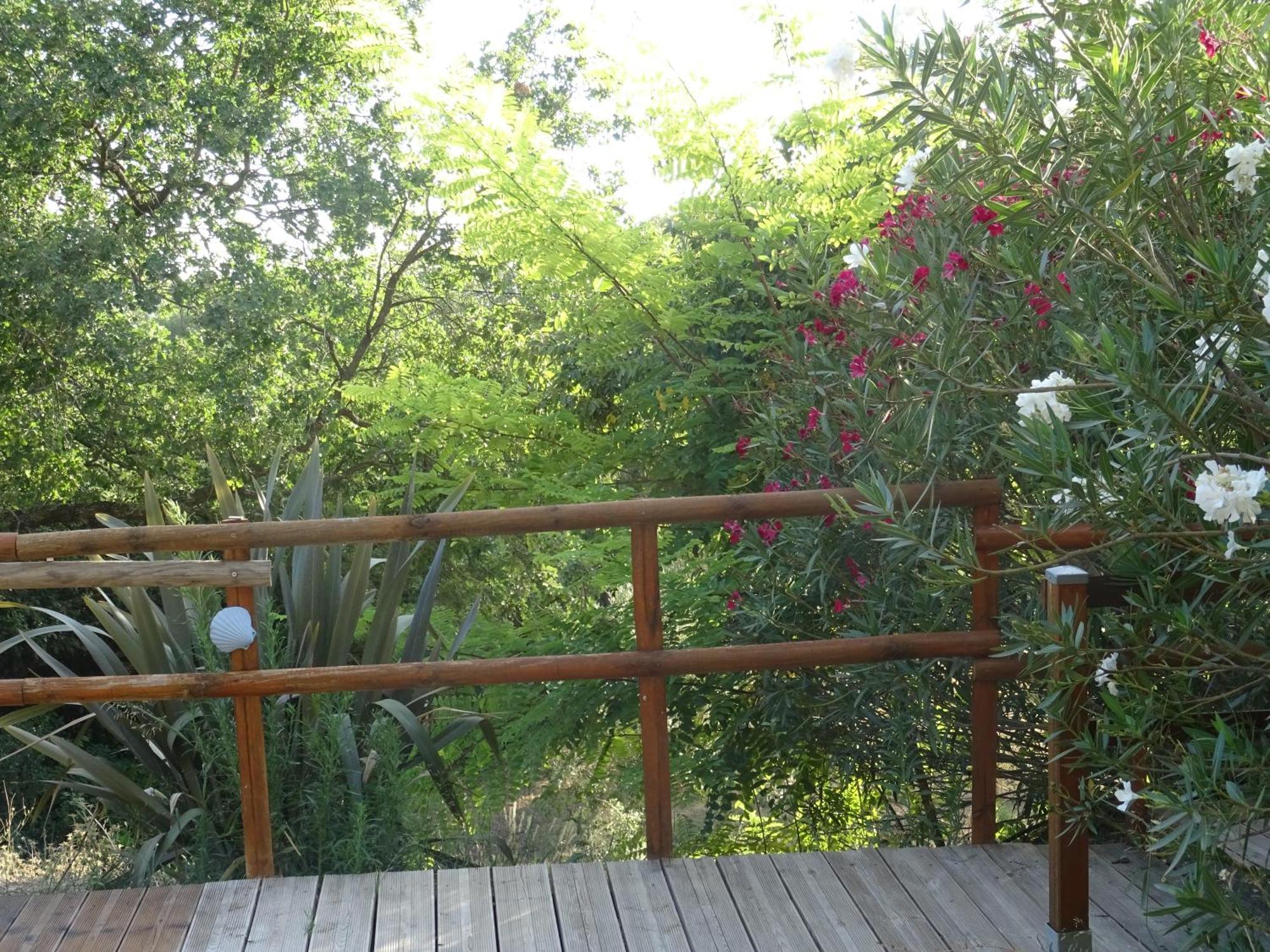 Les Ecrins D'Aix-En-Provence Villa Ngoại thất bức ảnh