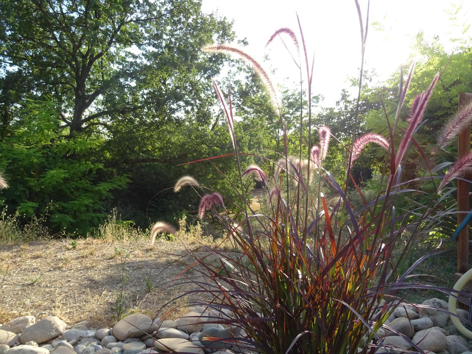 Les Ecrins D'Aix-En-Provence Villa Ngoại thất bức ảnh