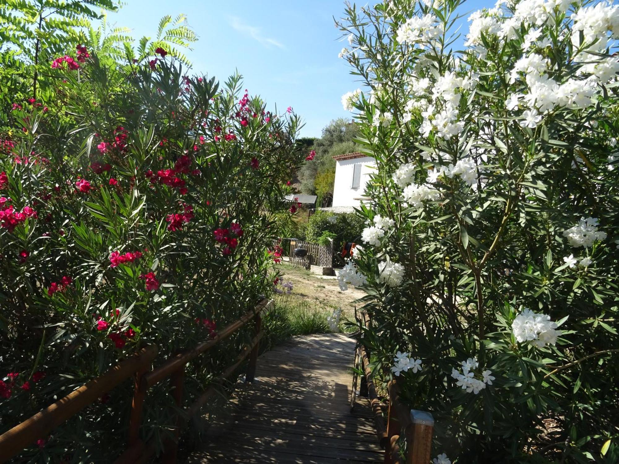 Les Ecrins D'Aix-En-Provence Villa Ngoại thất bức ảnh